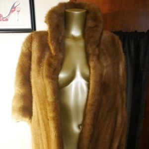 Goudchauxs Fox Brown